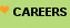 careers