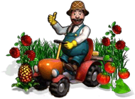 virtual farm
